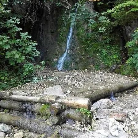 Mountain View 아파트